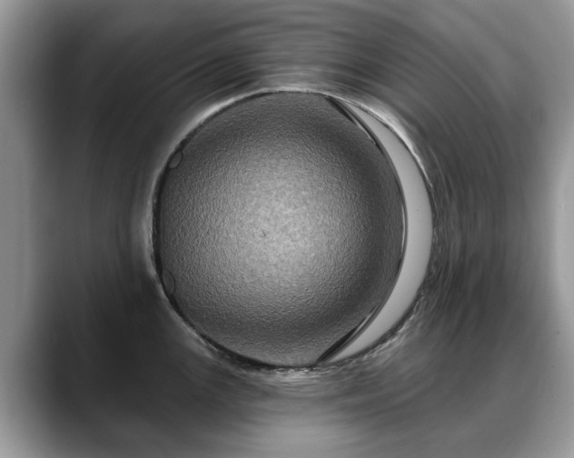 X0000088671147200706071454