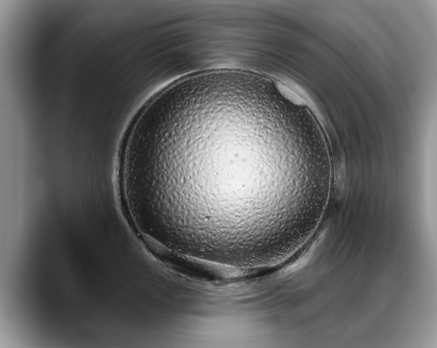 X0000088671149200706071454