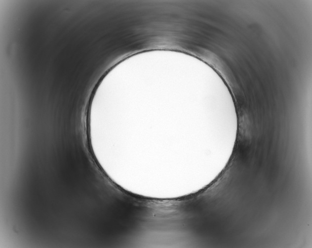 X0000088671150200706071454