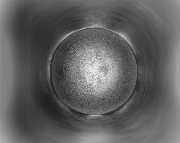 X0000088671151200706071454
