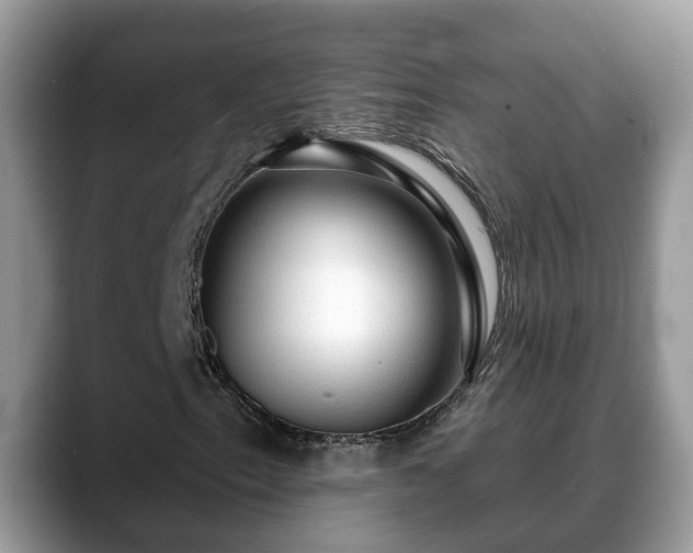 X0000088671153200706071454