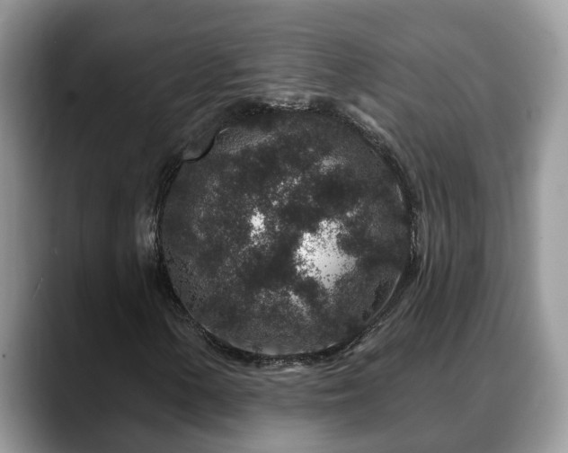 X0000088671154200706071454