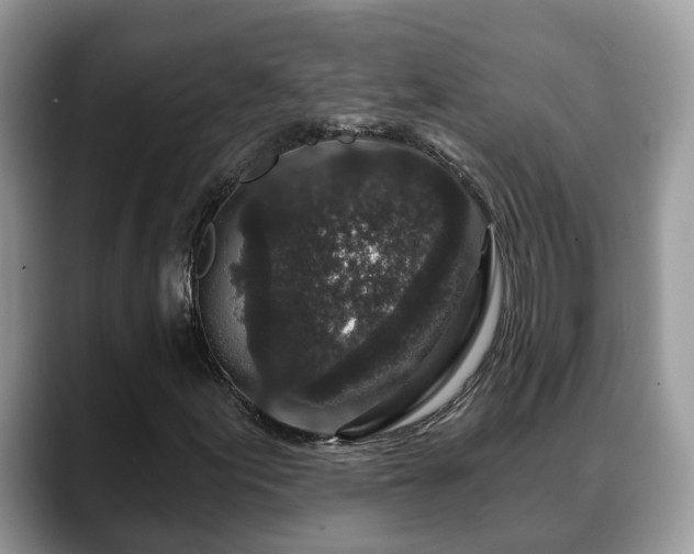 X0000088671155200706071454
