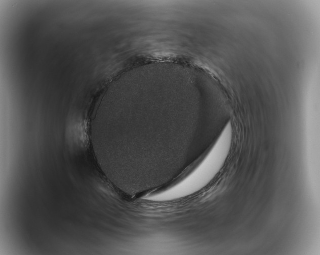 X0000088671156200706071454