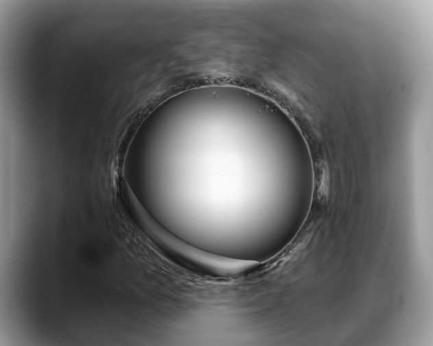 X0000088671157200706071454