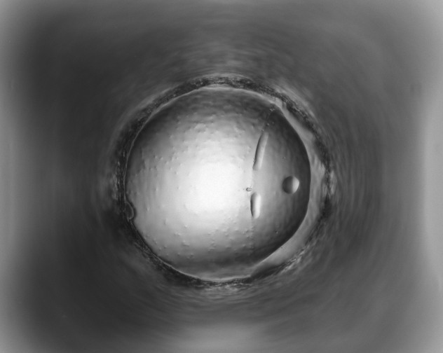 X0000088671159200706071454