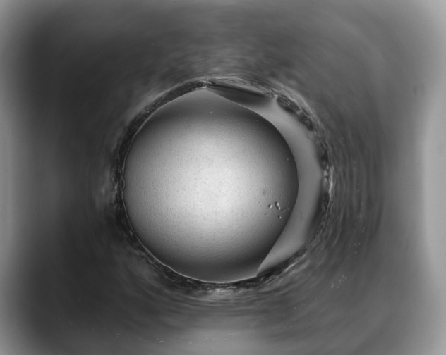 X0000088671160200706071454