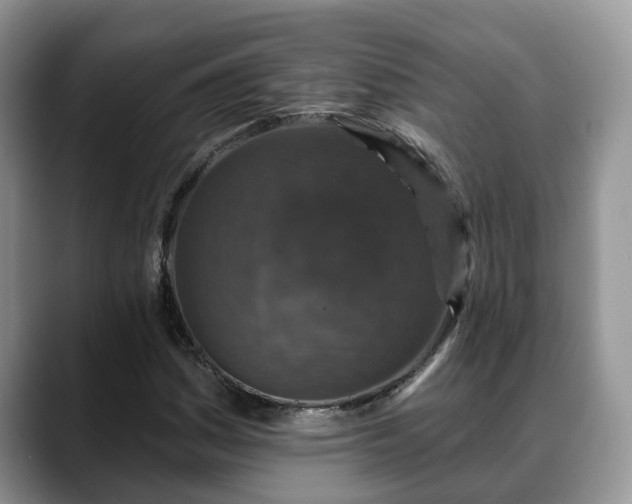 X0000088671161200706071454