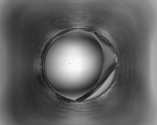 X0000088671164200706071454