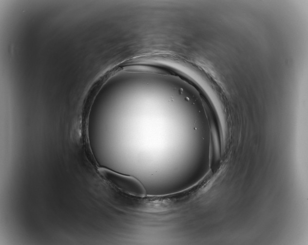 X0000088671165200706071454