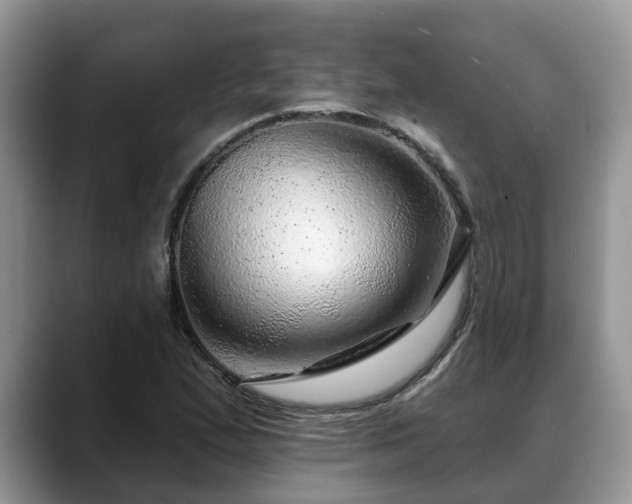 X0000088671167200706071454