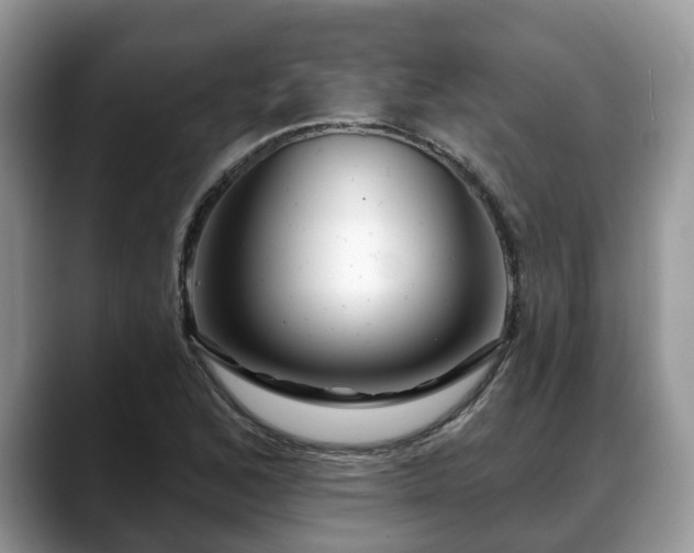 X0000088671168200706071454
