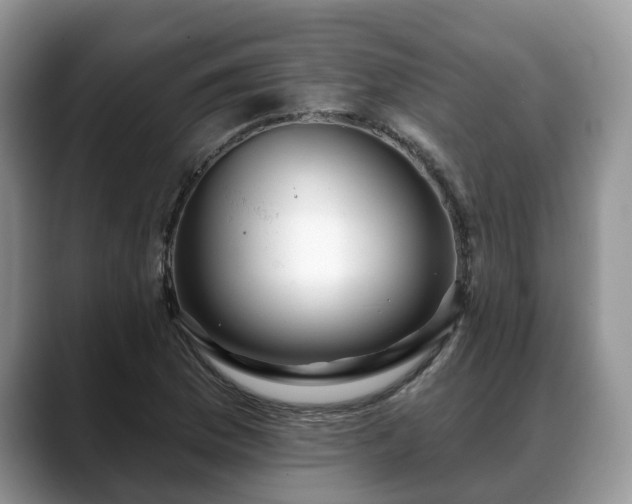 X0000088671169200706071454