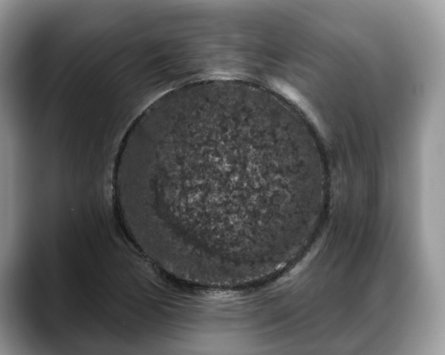 X0000088671170200706071454