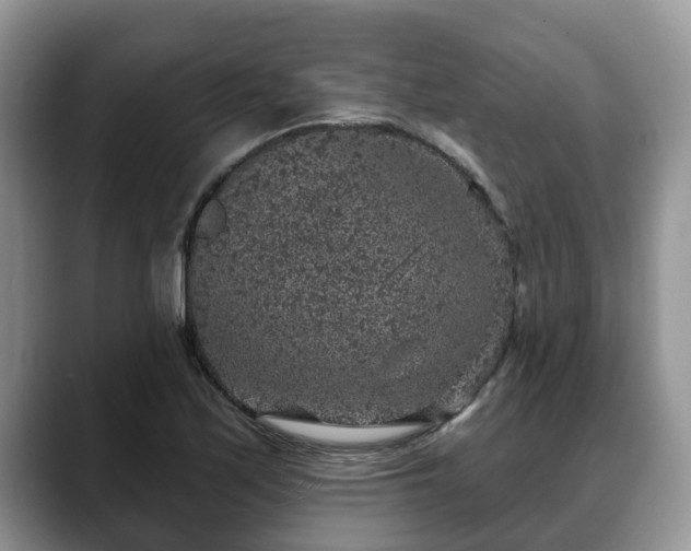 X0000088671171200706071454