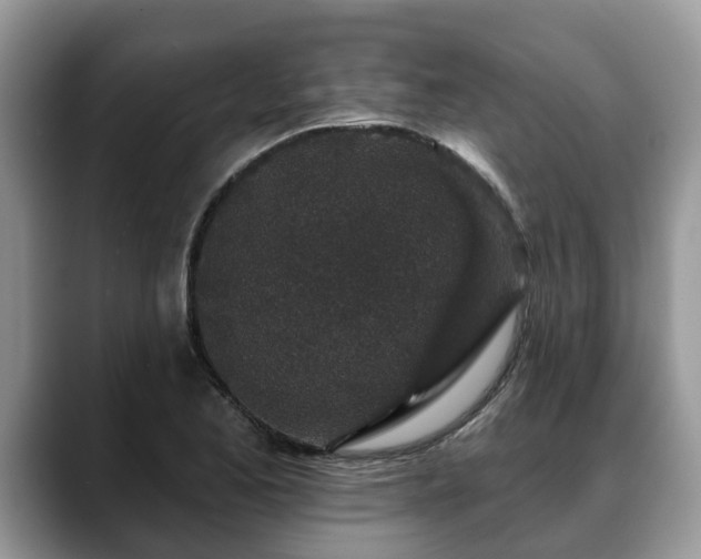 X0000088671173200706071454