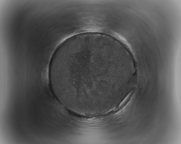 X0000088671174200706071454