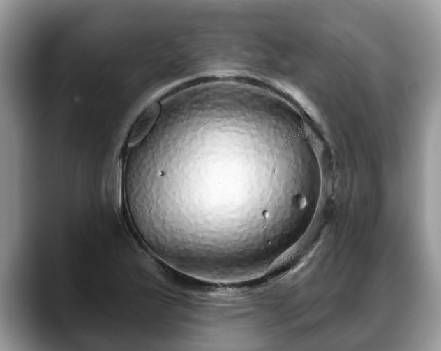 X0000088671175200706071454