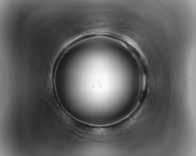 X0000088671176200706071453