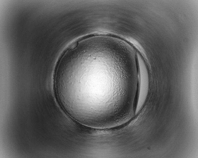 X0000088671183200706071453
