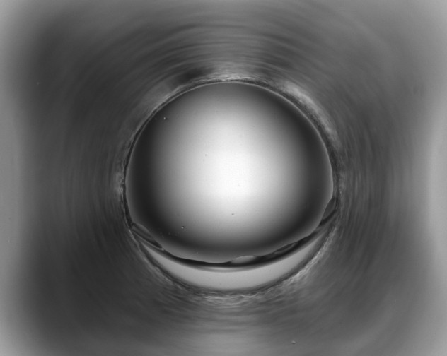 X0000088671185200706071453