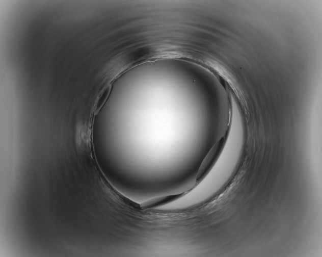 X0000088671193200706071453