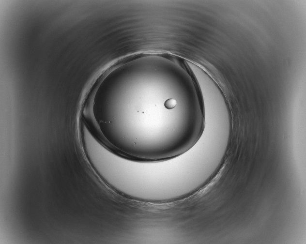 X0000088671196200706071453