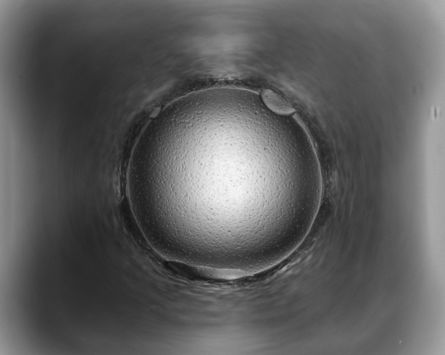 X0000088671205200706071453