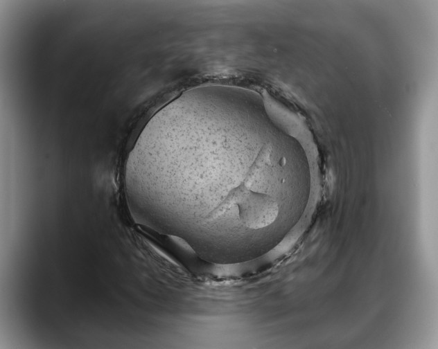 X0000088671206200706071453