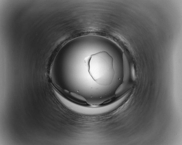 X0000088671210200706071453