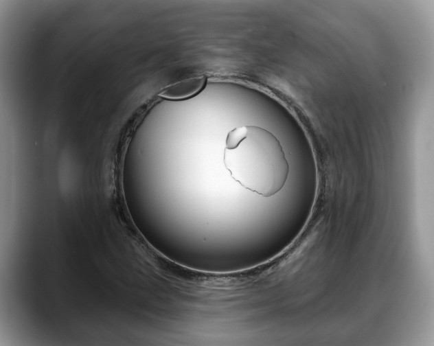 X0000088671211200706071453