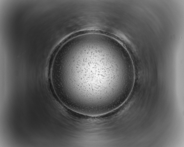 X0000088671216200706071453