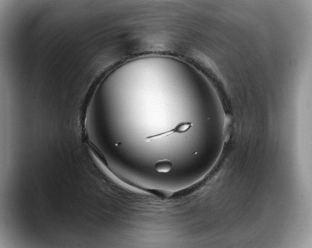 X0000088671218200706071453