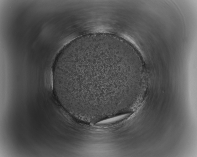 X0000088671219200706071453