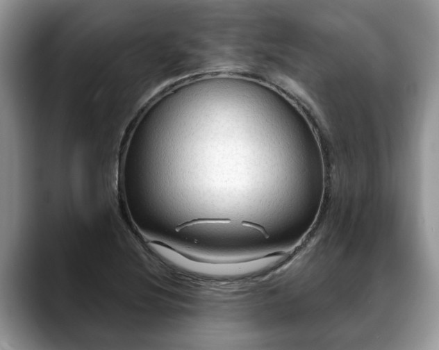 X0000088671220200706071453