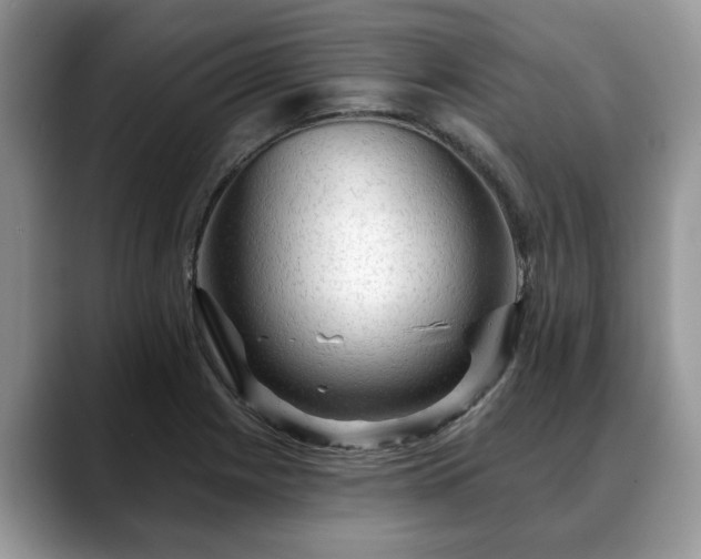 X0000088671225200706071453