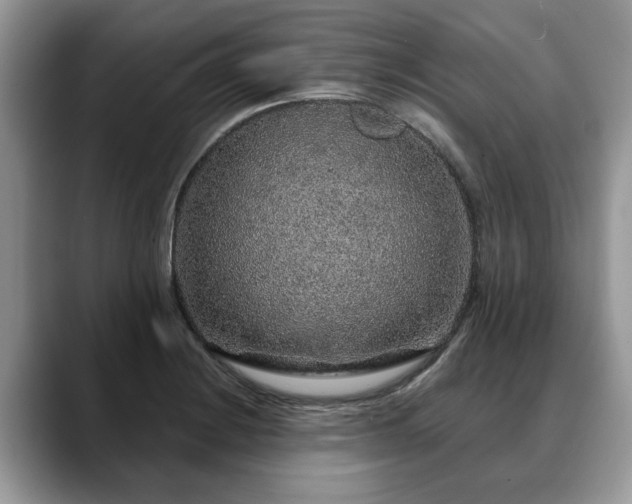 X0000088671228200706071453