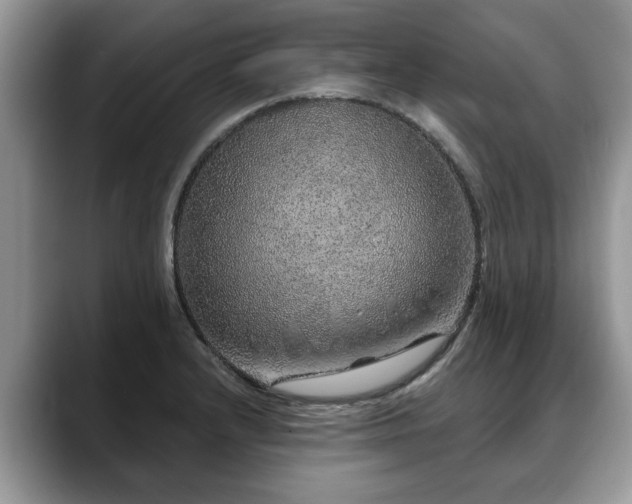 X0000088671232200706071453
