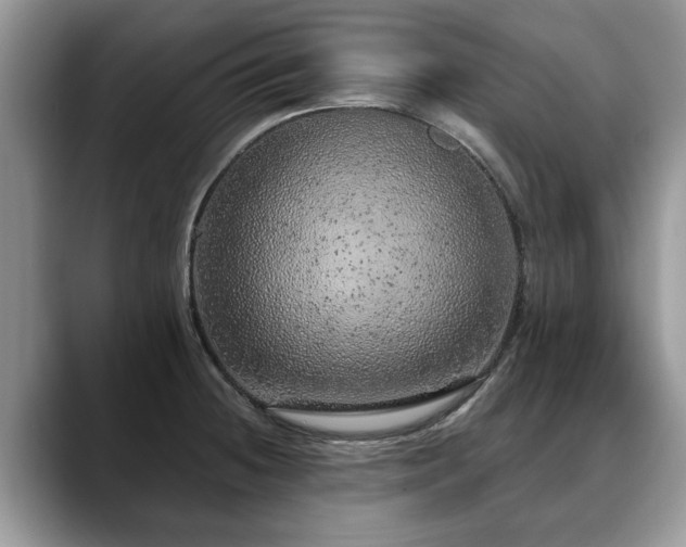 X0000088671236200706071453