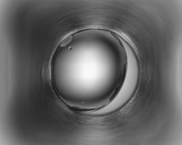 X0000088671238200706071453