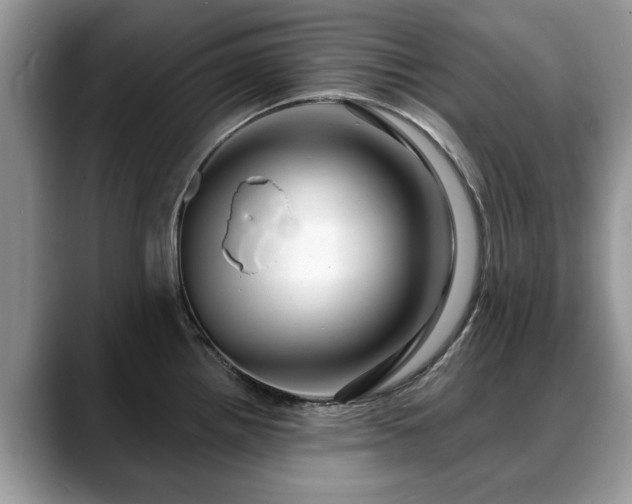 X0000088671242200706071453