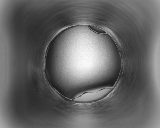 X0000088671244200706071453