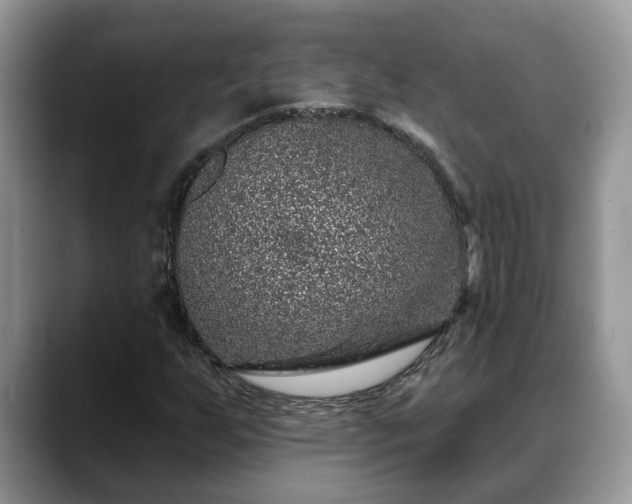 X0000088671255200706071452