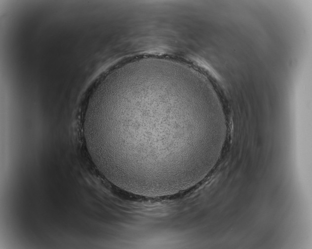 X0000088671256200706071452