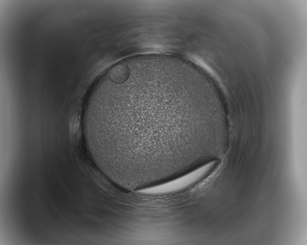 X0000088671259200706071452