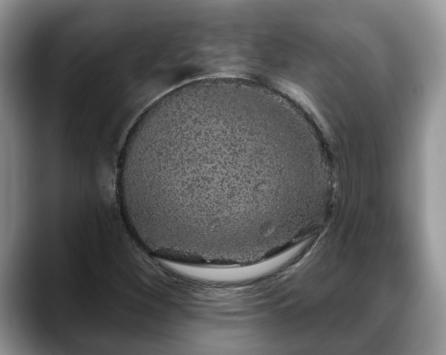 X0000088671260200706071452