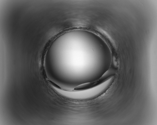 X0000088671261200706071452