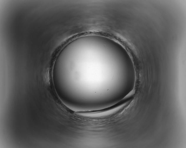X0000088671262200706071452