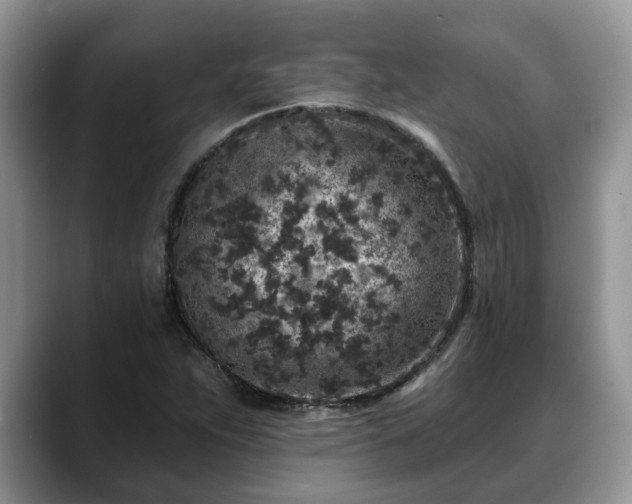 X0000088671263200706071452
