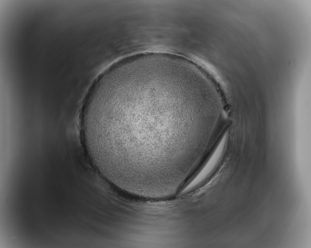 X0000088671264200706071452